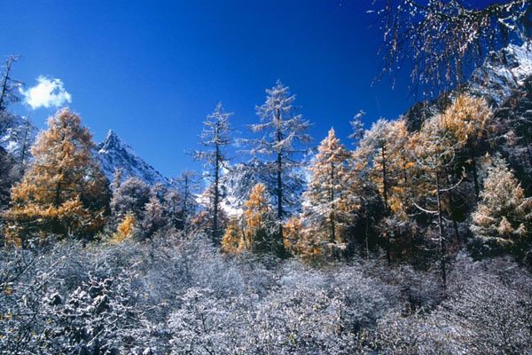 关于立冬节气的图片大全