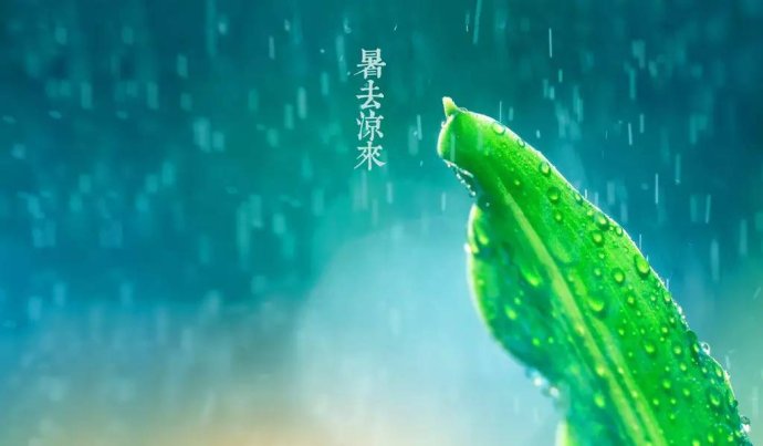 浅析立秋下雨是好是坏？