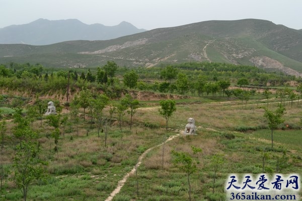 唐德宗李适的陵墓在哪？唐德宗李适的陵墓简介