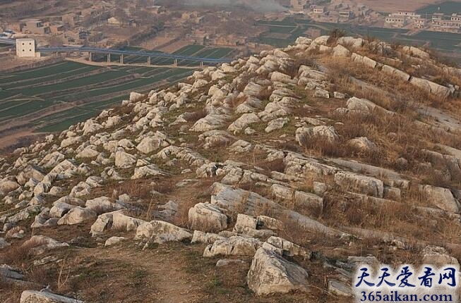 唐顺宗李诵的陵墓在哪？唐顺宗李诵的陵墓介绍