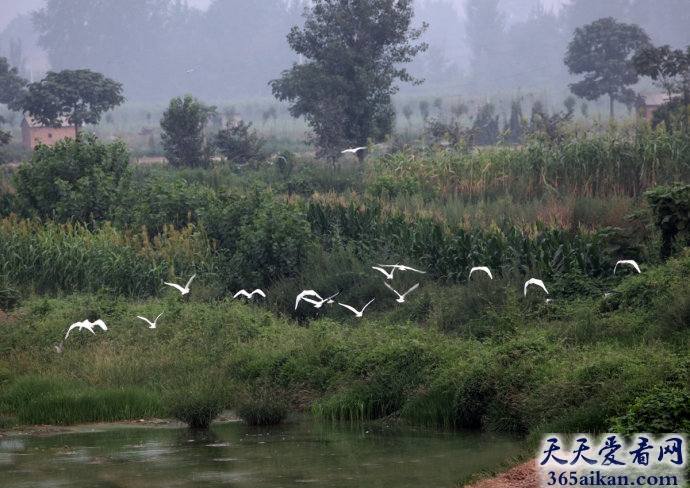 唐恭宗李重茂的陵墓在哪？唐恭宗李重茂的陵墓简介