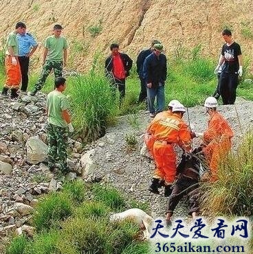 揭秘云南恐怖事件，云南开远惊现死亡地带人畜尽灭