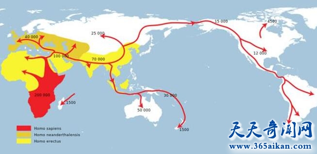 科学探索人类起源道路上发生了哪些事情？为什么是只有现代人存活下来？