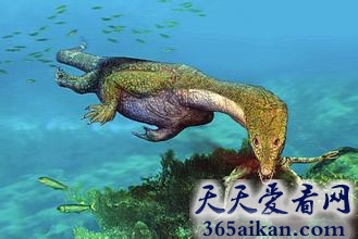 全球那些已经灭绝的海洋奇异古生物有哪些？全球那些已经灭绝的海洋奇异古生物介绍