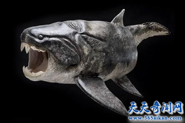 Dunkleosteus.jpg