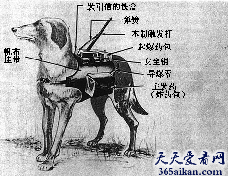 细数人类历史上哪些看起来厉害却并无卵用的武器是哪些？